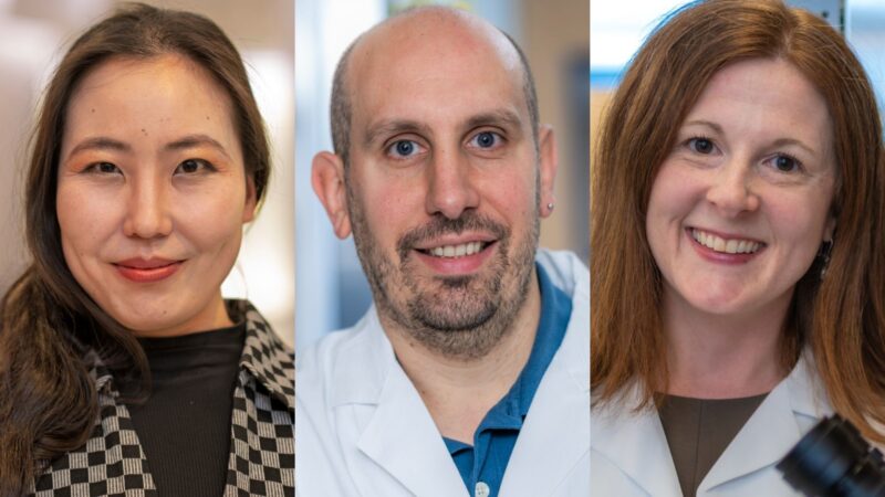 Dana-Farber Awards Early Career Investigators ACS Grants for Innovative Cancer Research