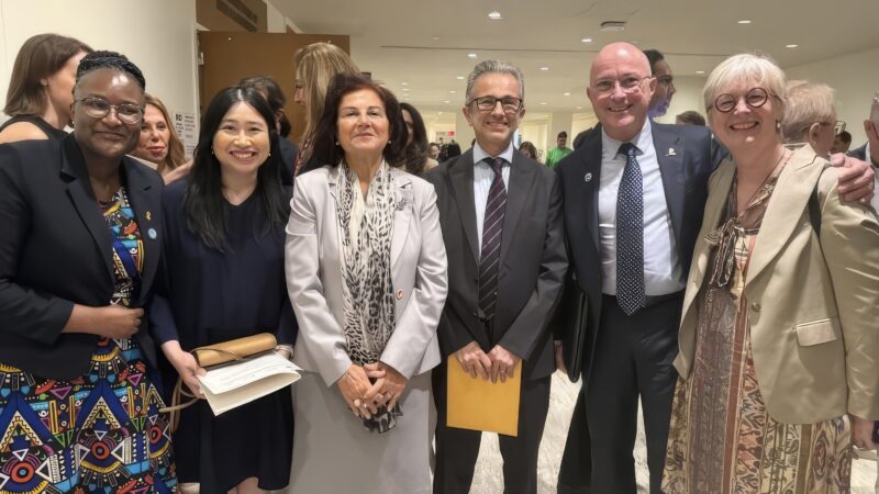 SIOP is Actively Engaged at UNGA80 – International Society of Paediatric Oncology