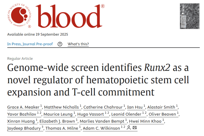 Grace Meaker: Genome-wide Screen Identifies Runx2's Role in HSCs