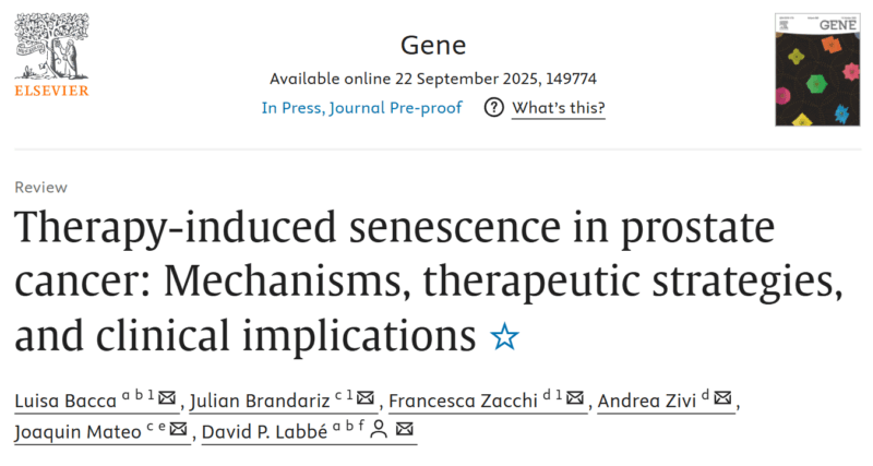 Francesca Zacchi: Therapy-Induced Senescence in Prostate Cancer