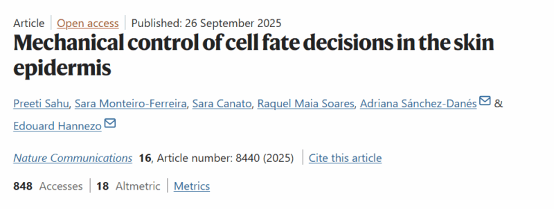 Edouard Hannezo: Mechanical Control of Cell Fate in Skin Epidermis