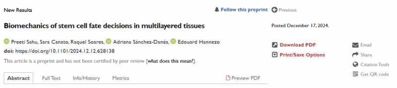 Edouard Hannezo: Mechanical Control of Cell Fate in Skin Epidermis
