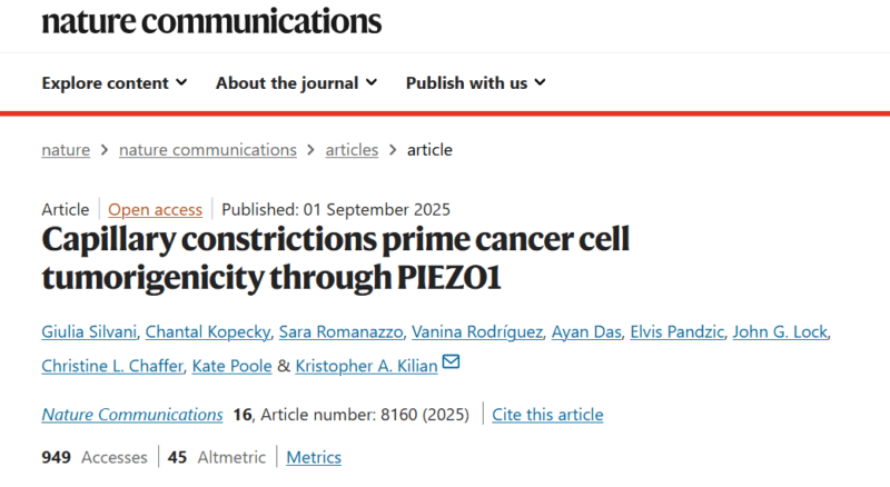 Kris Kilian: How Microconstrictions Influence Circulating Melanoma Cells