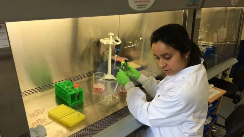 Applications Open for Yamagiwa-Yoshida Memorial International Cancer Study Grants – UICC