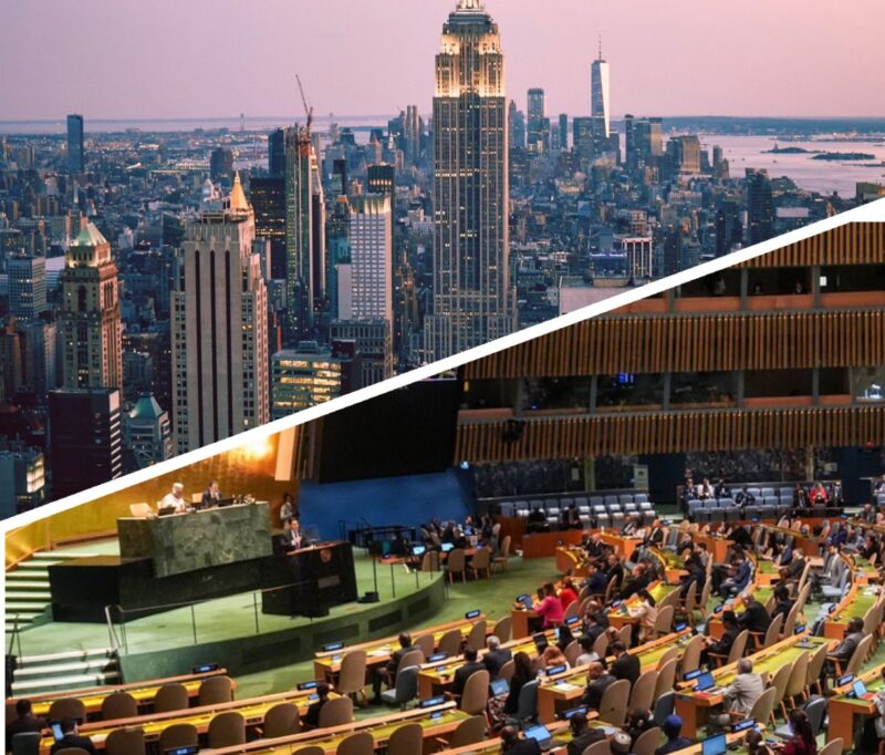 UNGA 80: Highlights from the Fourth High-Level Meeting on NCDs and Mental Health