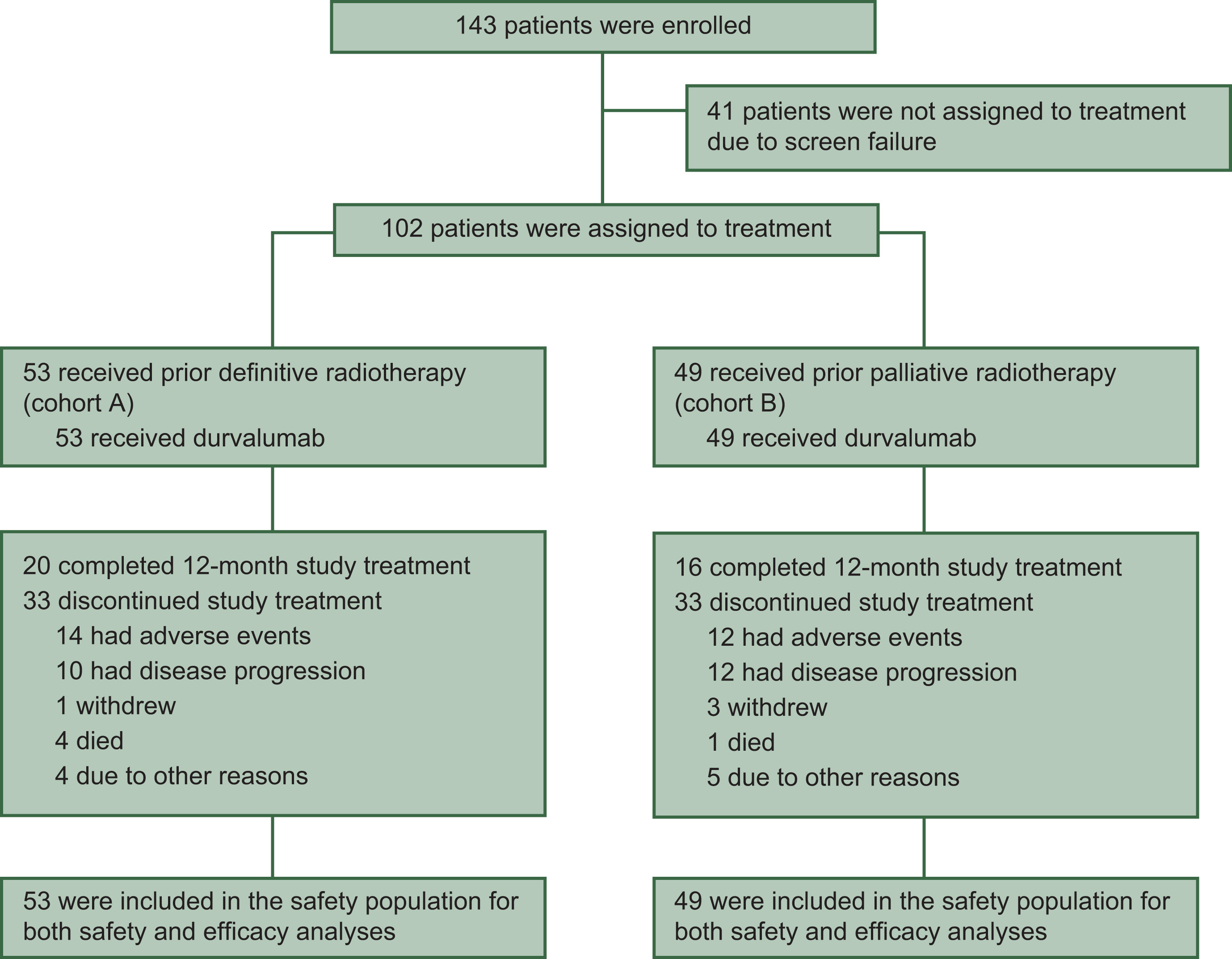 Durvalumab after Radiotherapy in Patients with Unresectable Stage III Non Small Cell Lung Cancer Ineligible for Chemotherapy