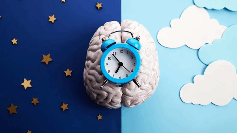 Eduardo Bruera: Circadian Rhythm in End-Of-Life Delirium