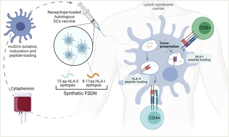 gi Oncology