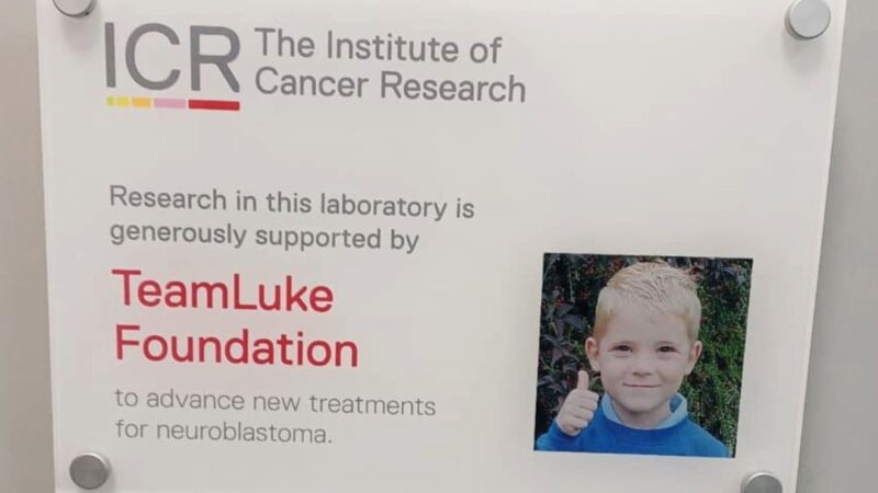 Advancing Neuroblastoma Research Through Immune Cell Mapping - The Institute of Cancer Research