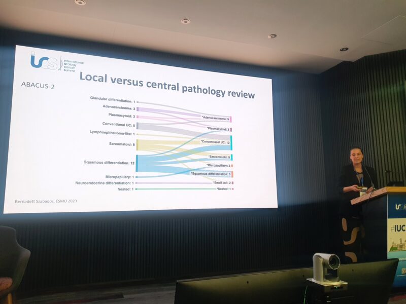 Highlights from IUCS 2025