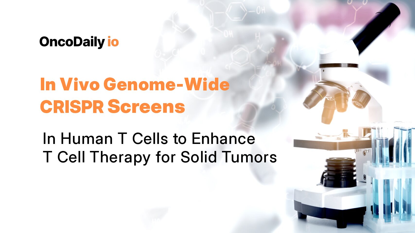 In Vivo Genome-Wide CRISPR Screens in Human T Cells to Enhance T Cell Therapy for Solid Tumors