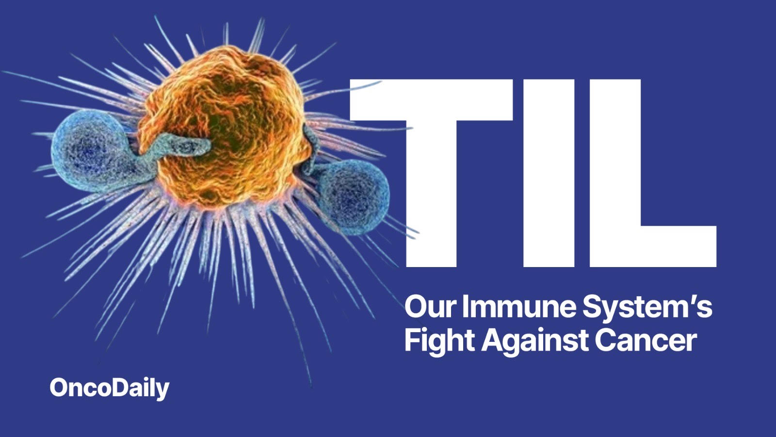 tumor-Infiltrating Lymphocytes, TILs