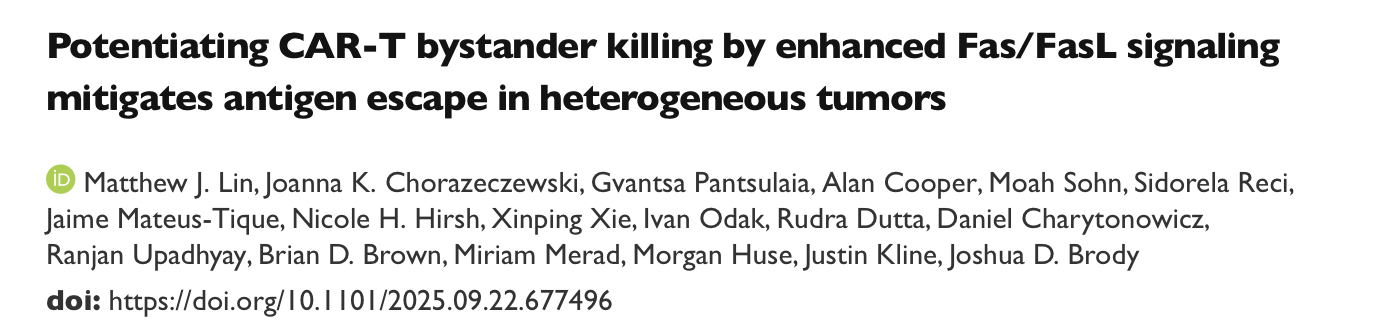 Overcoming Antigen Escape With Fas FasL Bystander Killing in CAR-T Therapy