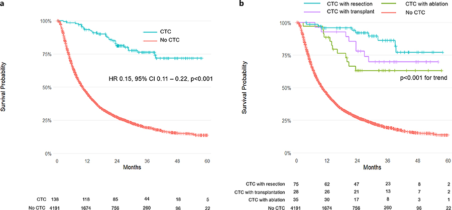 hepatocellular carcinoma