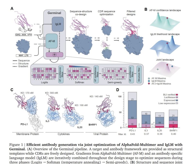 Olivier Elemento: AI for Antibody Design - A Tale of Two Architectures