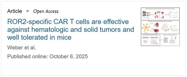  Immuno-Oncology