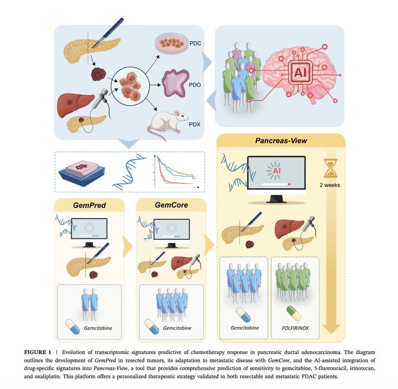 10 Must-Read Posts in GI Oncology This Week