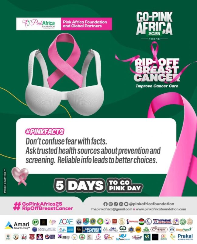 Petra Ibum Adjah, Pink Africa Foundation