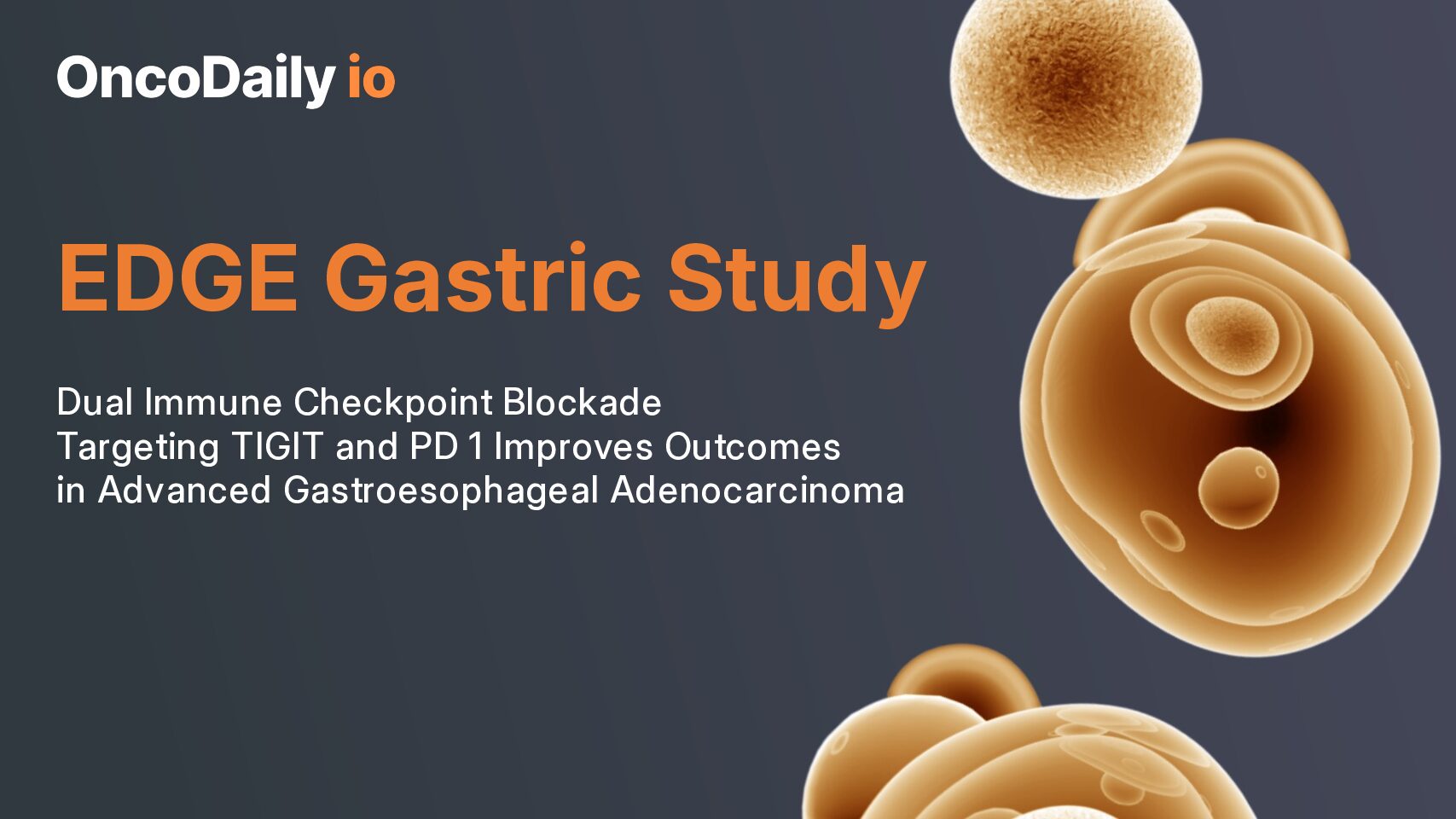 Dual Immune Checkpoint Blockade Targeting TIGIT and PD 1 Improves Outcomes in Advanced Gastroesophageal Adenocarcinoma