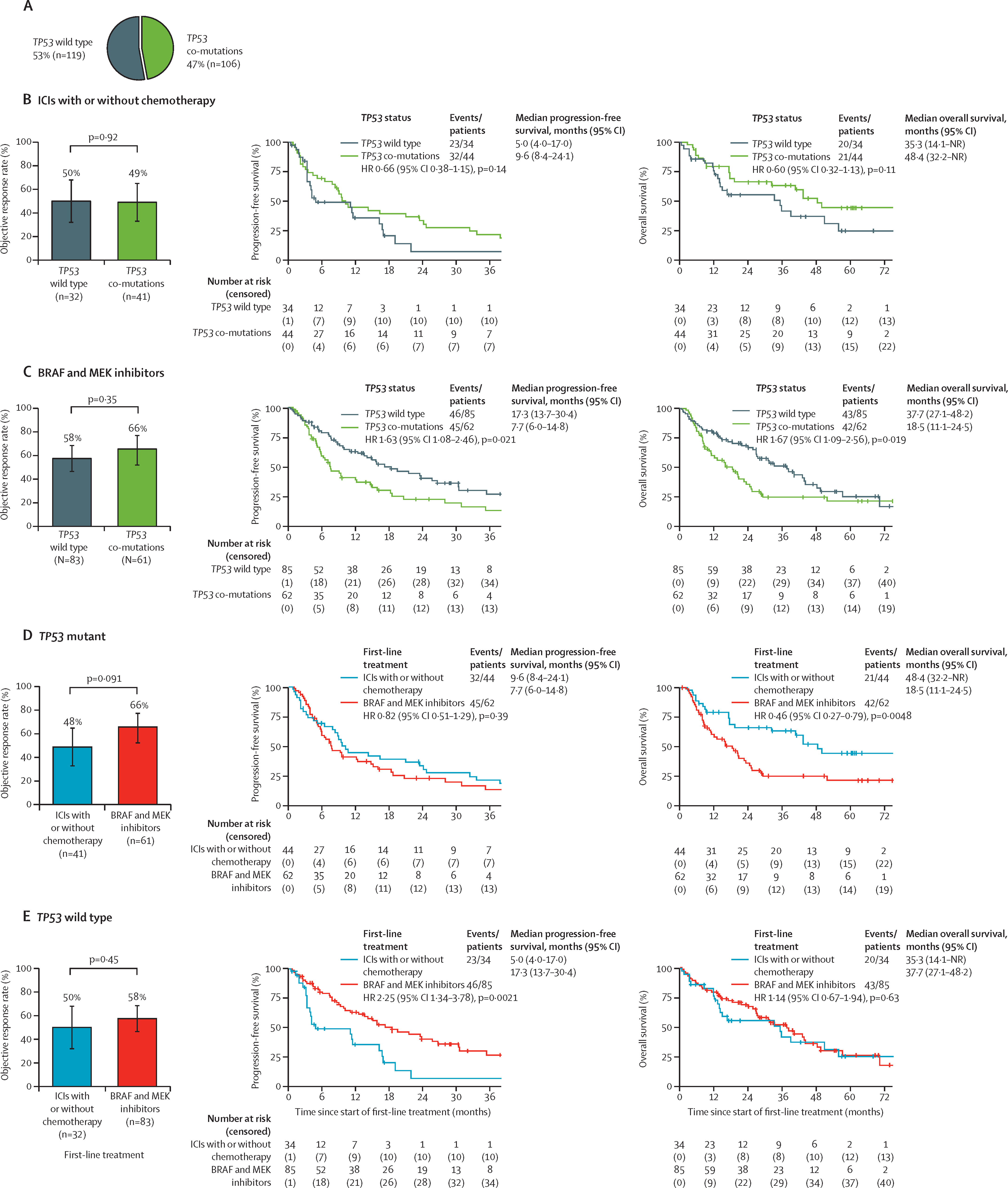 BRAFV600E-mutated NSCLC