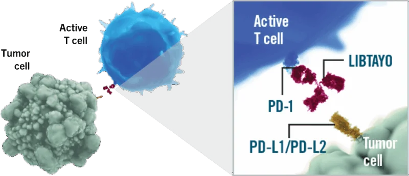 Cemiplimab