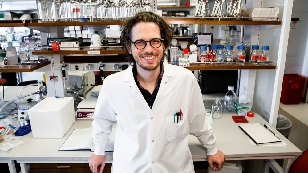 Dan-Avi Landau