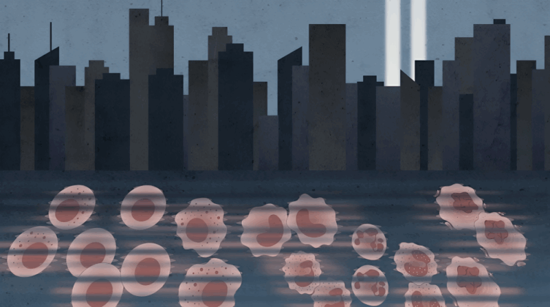 Divij Verma: New Study on Clonal Hematopoiesis in 9/11 Exposed Individuals