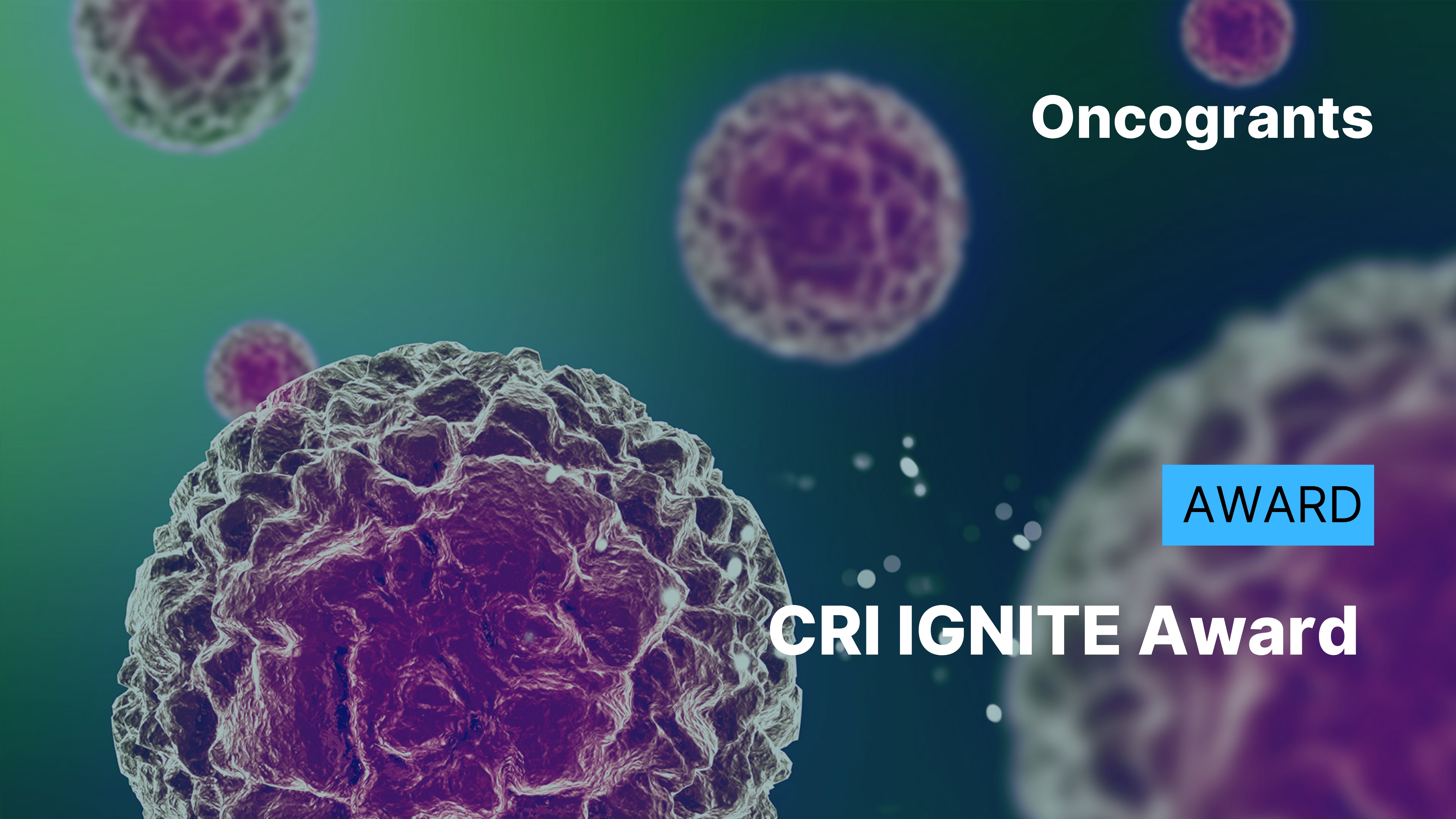 CRI IGNITE Award