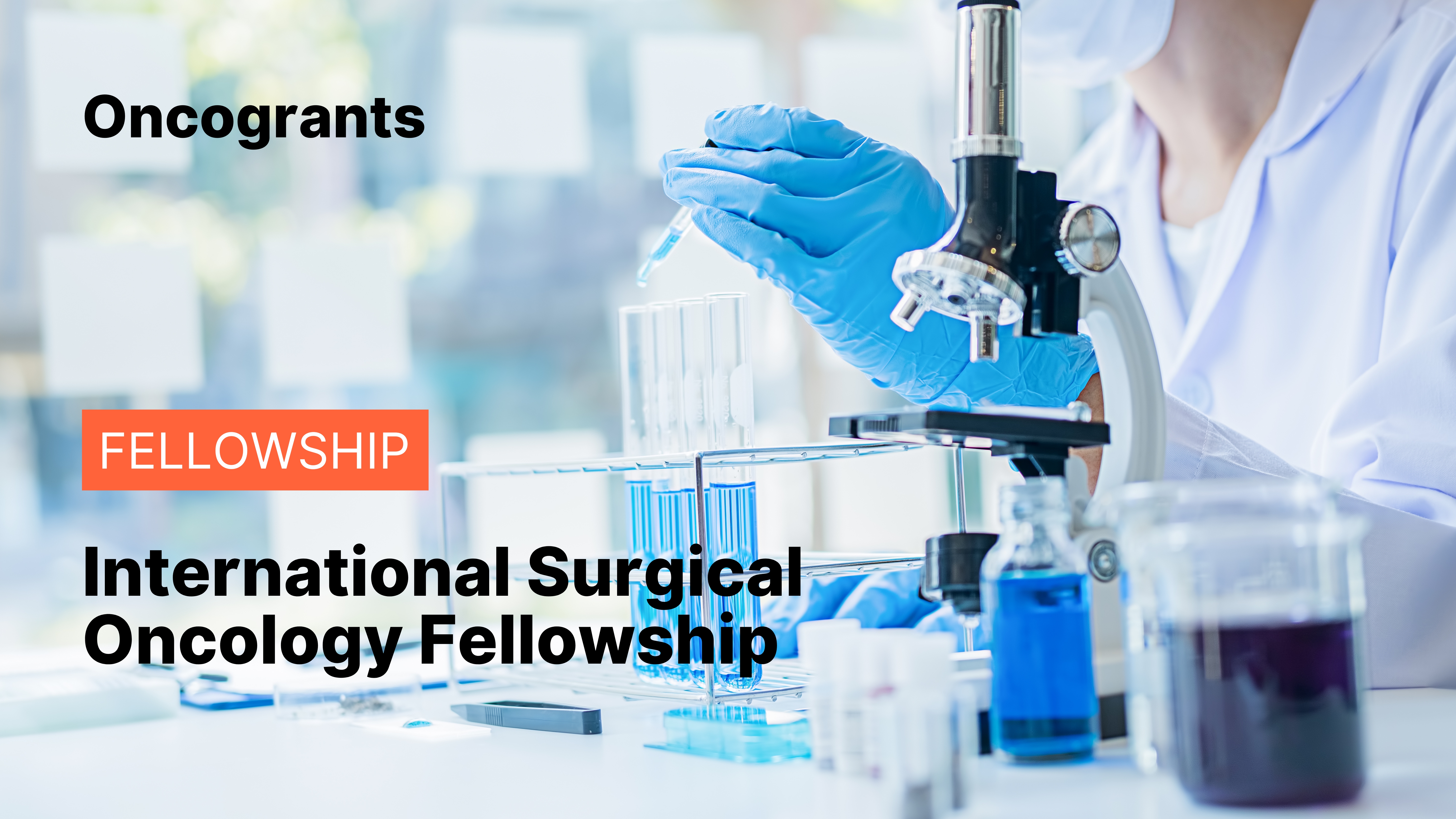 International Surgical Oncology Fellowship