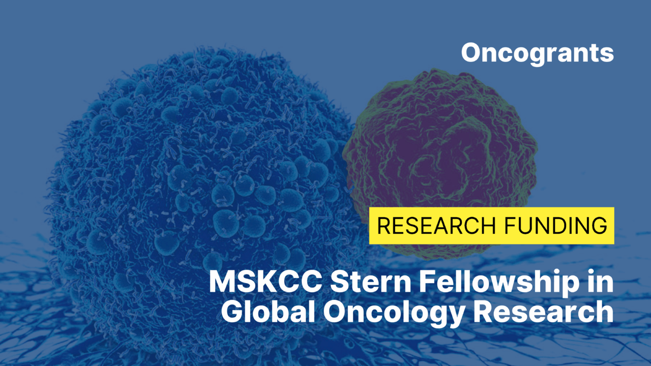 MSKCC Stern Fellowship in Global Oncology Research
