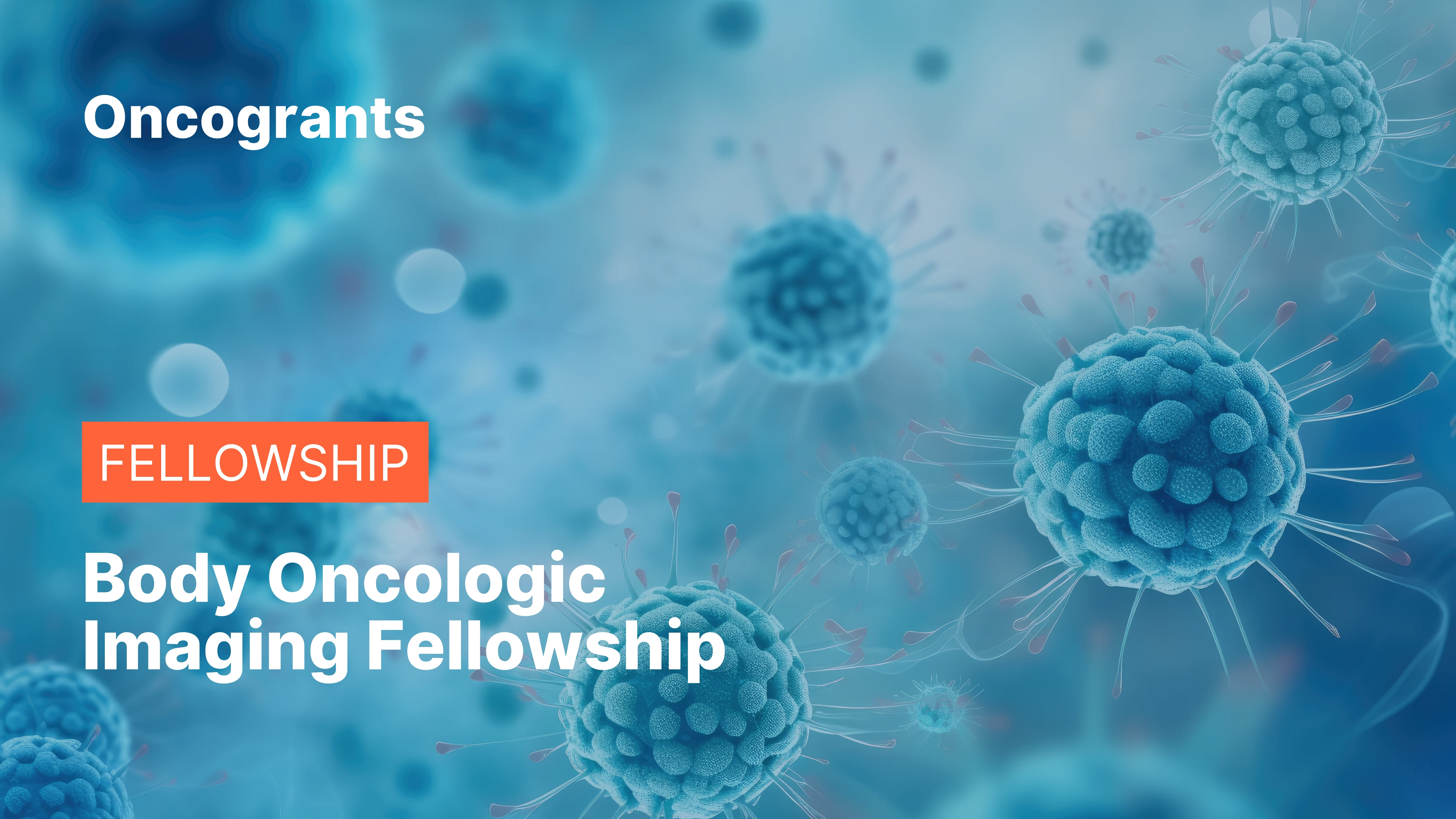 Body Oncologic Imaging Fellowship