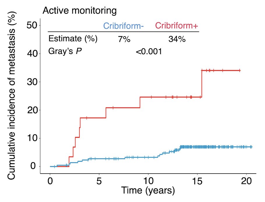 Tyler Seibert: Important Update from ProtecT Trial After Central Pathology Review