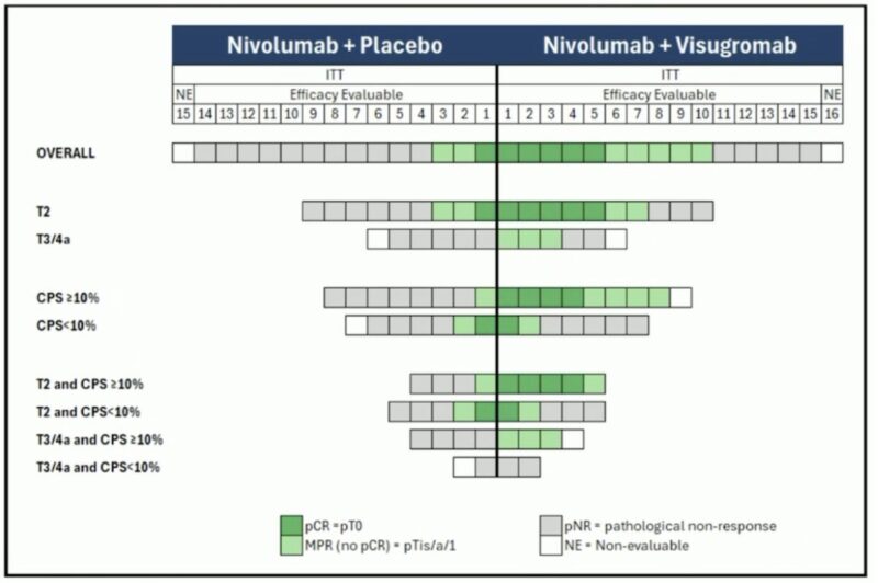 GDFather-NEO Trial at ESMO 2025