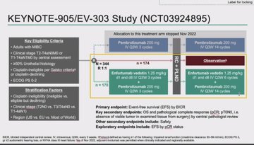 ESMO 2025 Day 3 Highlights Not to Miss