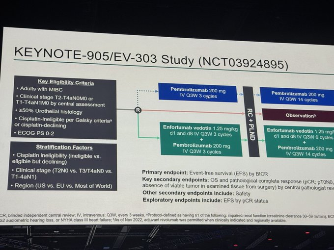 Erika Hamilton: First Trial to Show a Survival Benefit in Essentially a Cisplatin-Ineligible MIBC Population