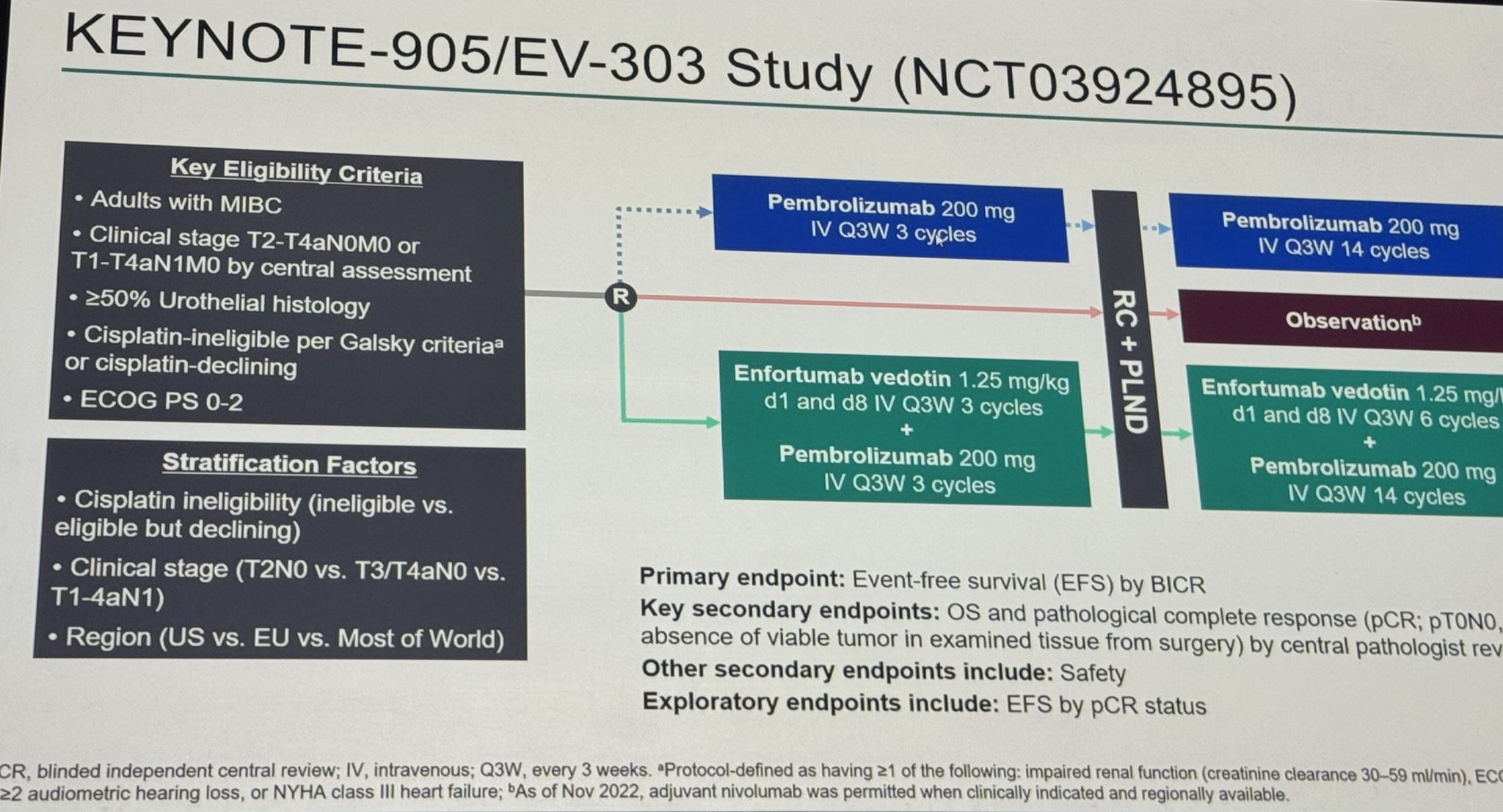 ESMO 2025 Day 2 Highlights Not to Miss