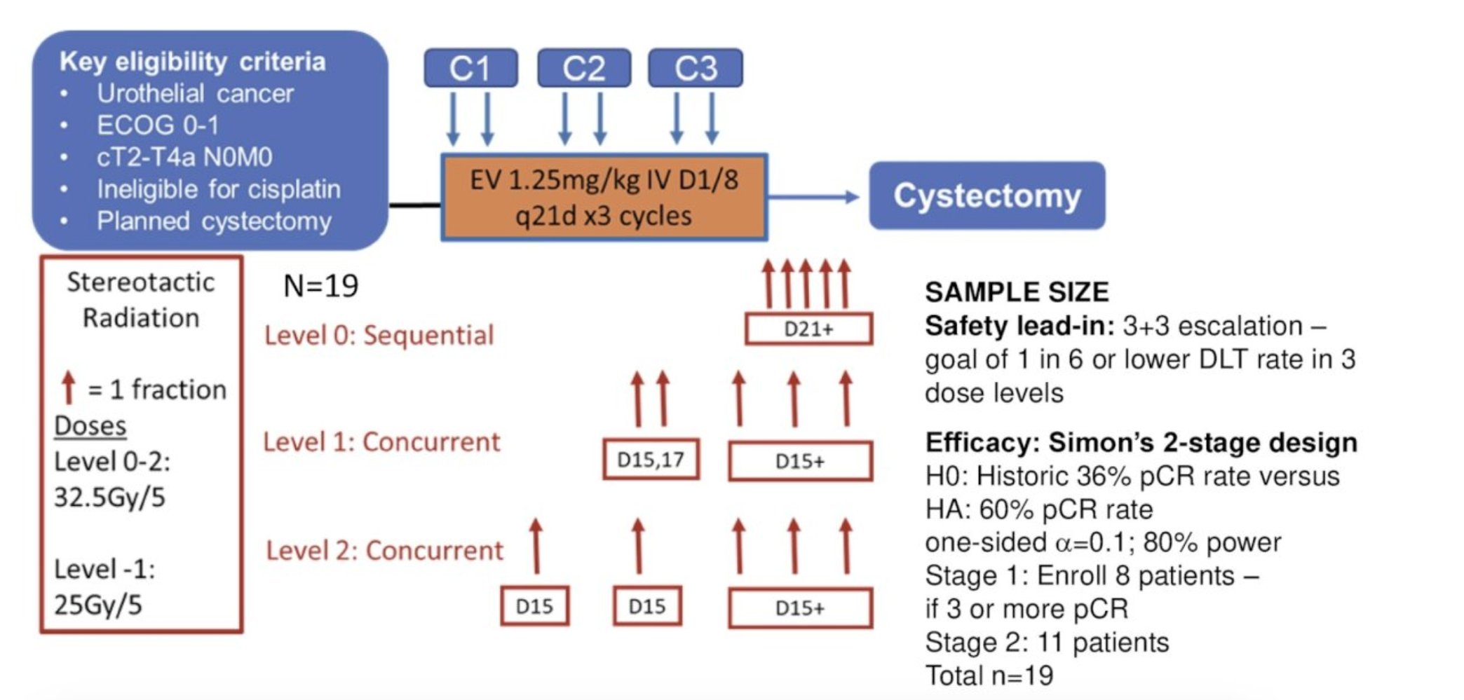 David H Aggen: Tian Zhang is Evaluating Enfortumab Vedotin Plus RT for Cisplatin-Ineligible MIBC 2 David H Aggen: Tian Zhang is Evaluating Enfortumab Vedotin Plus RT for Cisplatin-Ineligible MIBC