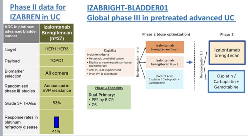 Tom Powles: Treatment After EVP in Bladder Cancer is Undefined 2 Tom Powles
