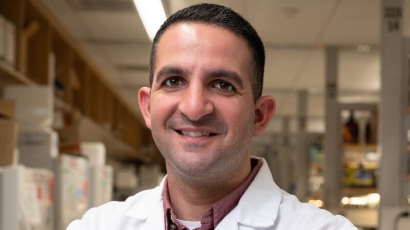 Next-Generation CAR T Cells Could Expand Solid Cancer Treatment Options