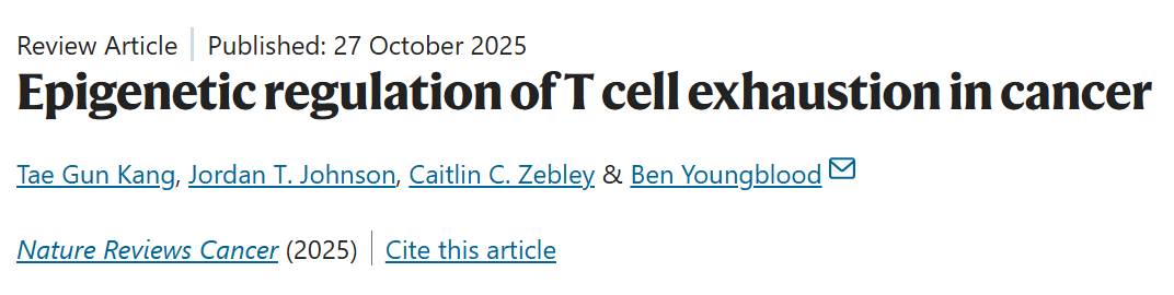 John Gordon: Epigenetic Regulation of T-Cell Exhaustion in Cancer 3 Epigenetic Regulation