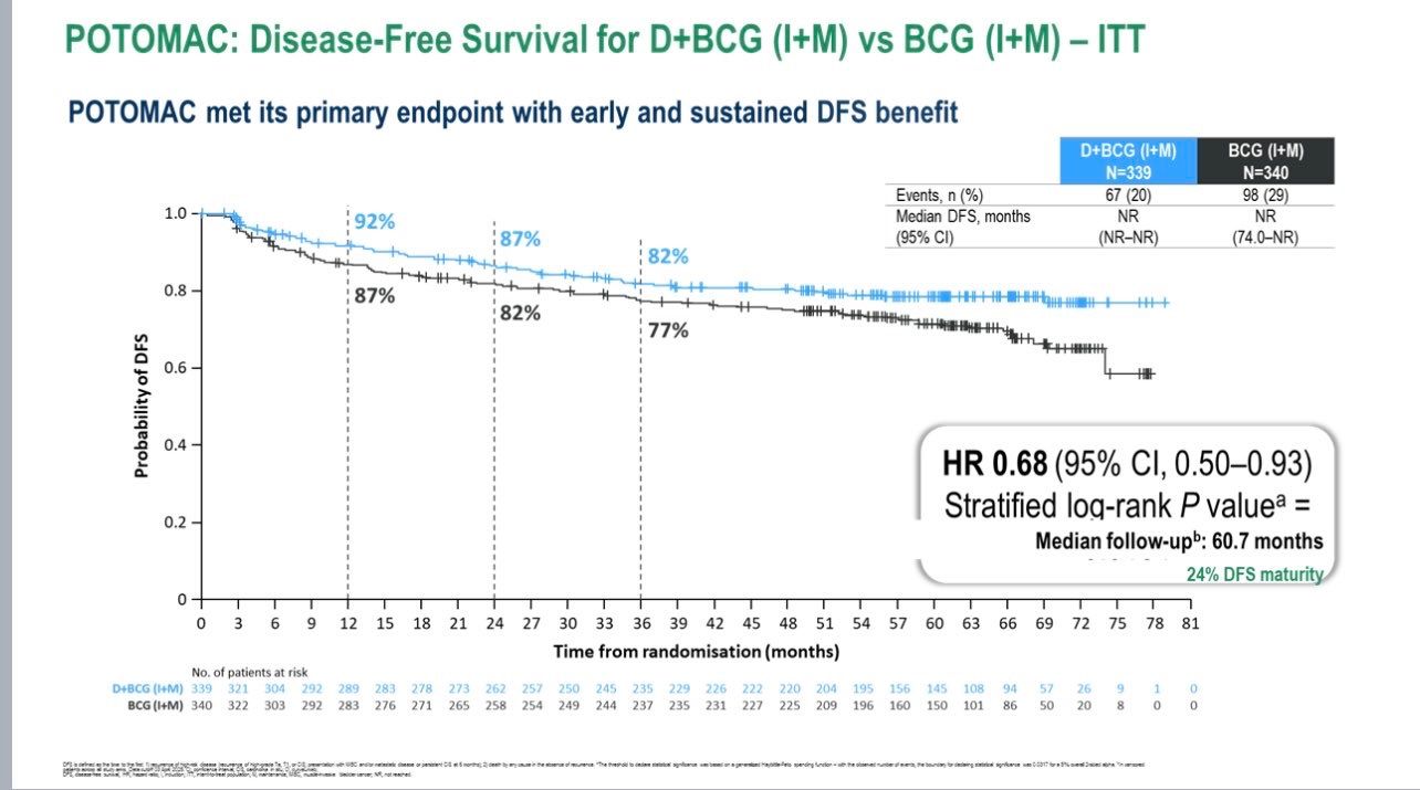 POTOMAC Trial at ESMO 2025: Durvalumab Plus BCG Improves Outcomes in High-Risk NMIBC