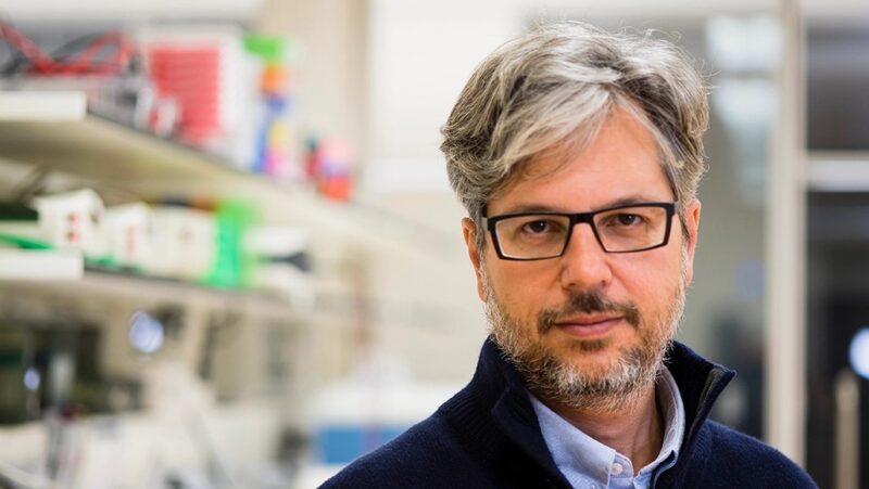 Luca Gattinoni: Targeting Organelle Function in T Cells for Cancer Immunotherapy