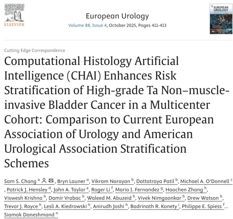 Sabine D. Brookman-May: New Research on CHAI Model for NMIBC Risk Stratification 2 Sabine D. Brookman-May: New Research on CHAI Model for NMIBC Risk Stratification