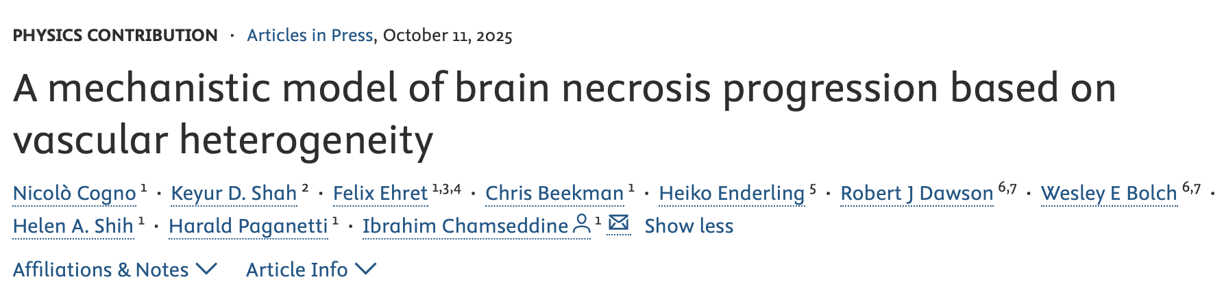 Felix Ehret: Modeling Brain Necrosis Progression Based on Vascular Heterogeneity
