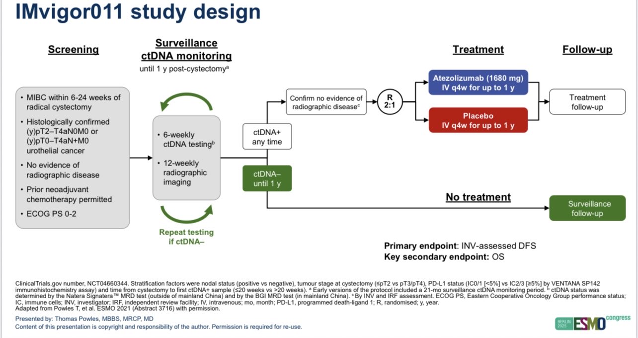 Tom Powles: IMvigor011 - ctDNA as a Predictive and Prognostic Tool Post Cystectomy in MIBC