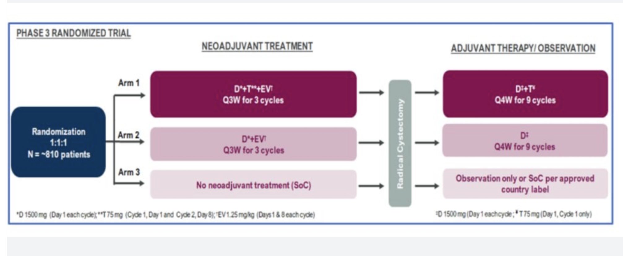 Tom Powles: KN905 Enfortumab Vedotin and Pembro Continues to Transform Bladder Cancer in Spectacle Fashion