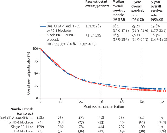 Dual immune checkpoint blockade