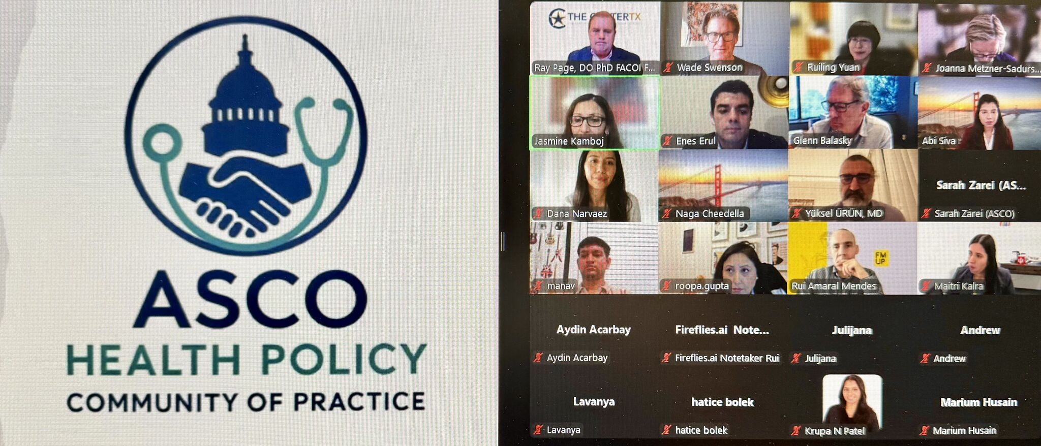 Ruiling Yuan: Congratulations to All on the Success of the ASCO Health Policy CoP Webinar 2 Ruiling Yuan: Congratulations to All on the Success of the ASCO Health Policy CoP Webinar
