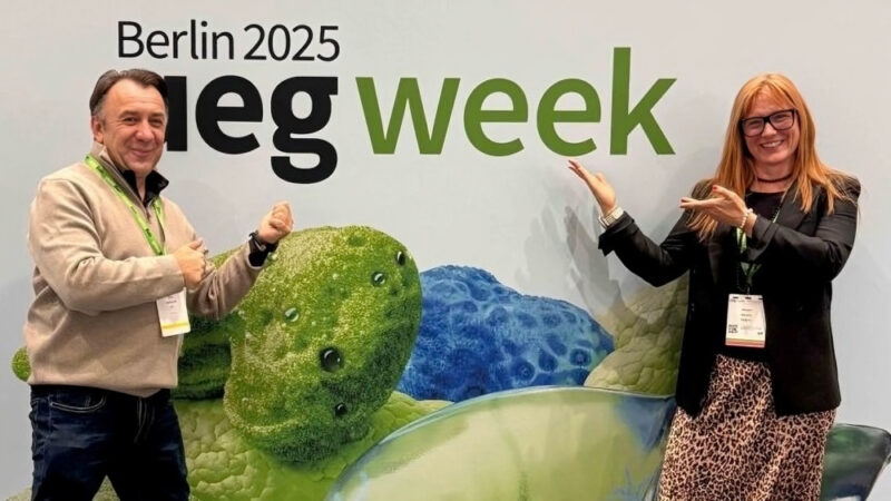 Digestive Cancers Europe Presented Advocacy, Research, and Awareness-Raising Work for Patients at UEG Week