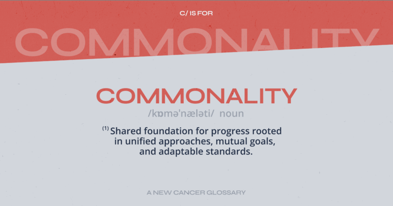 How C/Can Cities are Turning Commonalities Into Action 2 C/Can